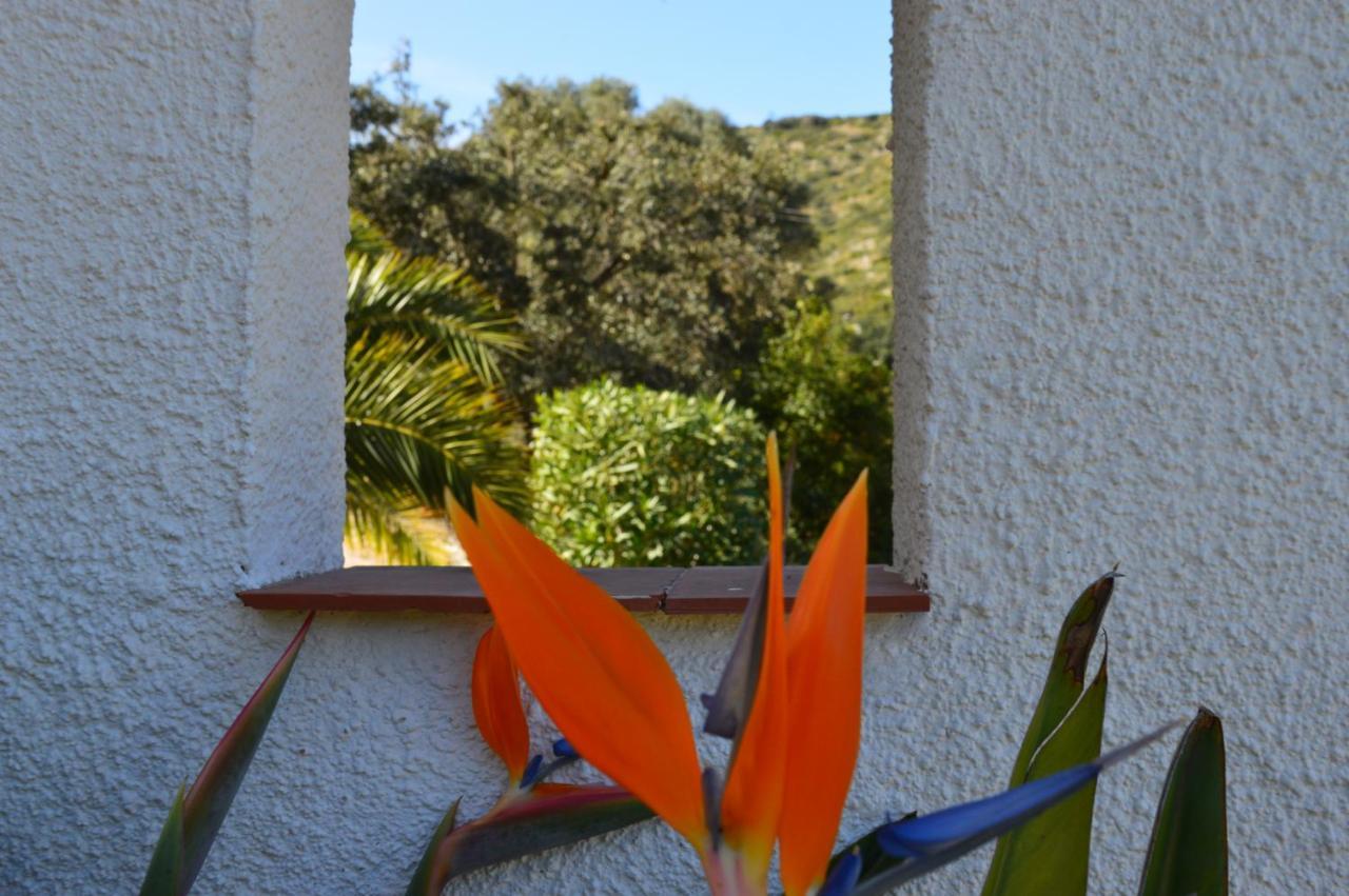 Apartament Casa Jiby Llosa de Camacho Zewnętrze zdjęcie