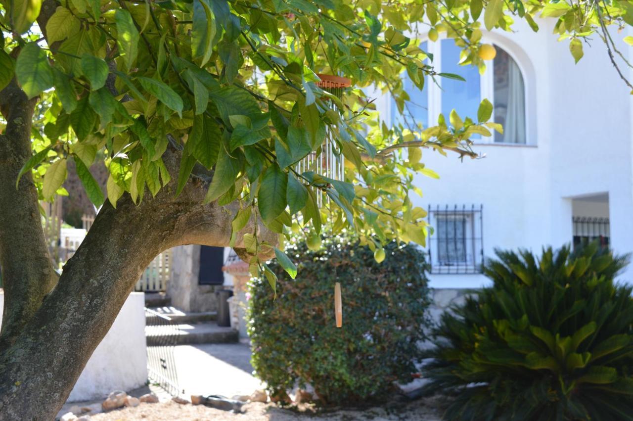 Apartament Casa Jiby Llosa de Camacho Zewnętrze zdjęcie