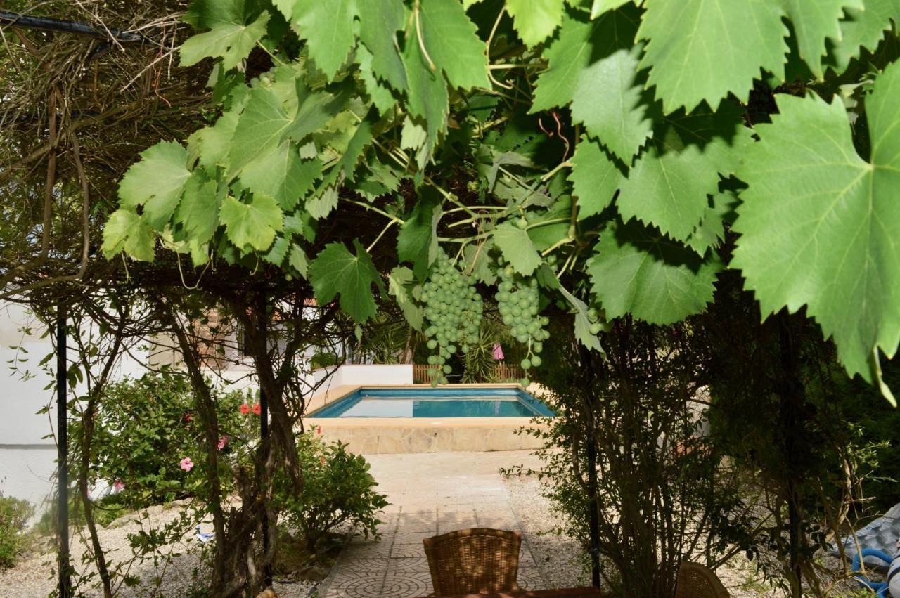 Apartament Casa Jiby Llosa de Camacho Zewnętrze zdjęcie